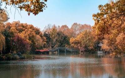宋代风格水墨画意境，隐士林和靖立于杭州孤山梅树旁，白鹤在旁，远处西湖烟波浩渺，冬日清冷氛围
